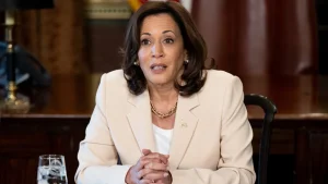 Kamala installed as Democrat nominee without earning a single vote