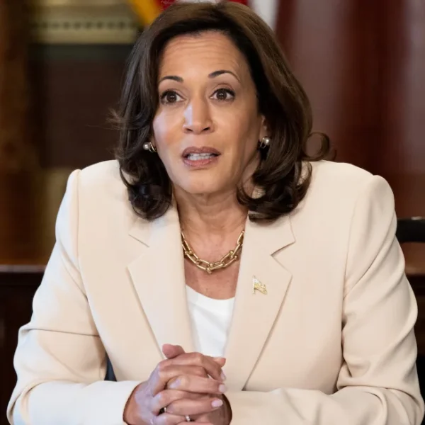 Kamala installed as Democrat nominee without earning a single vote